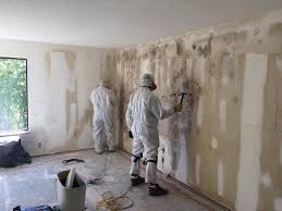 Fletcher, NC Mold Prevention & Removal  Company